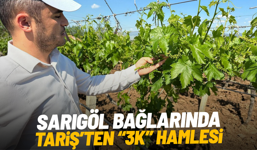 Sarıgöl bağlarında 3K hamlesi