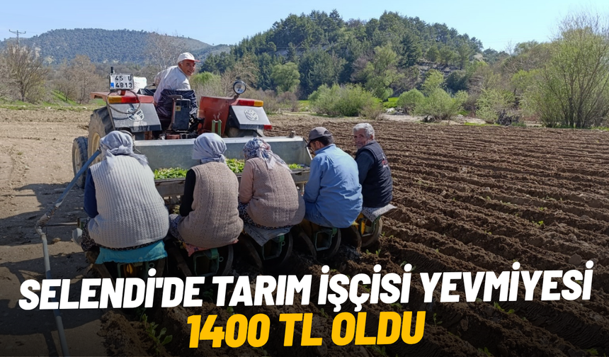 Selendi'de tarım işçisi yevmiyesi 1400 TL oldu