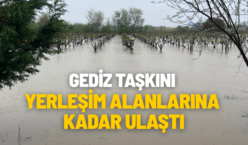 Gediz taşkını yerleşim alanlarına ulaştı