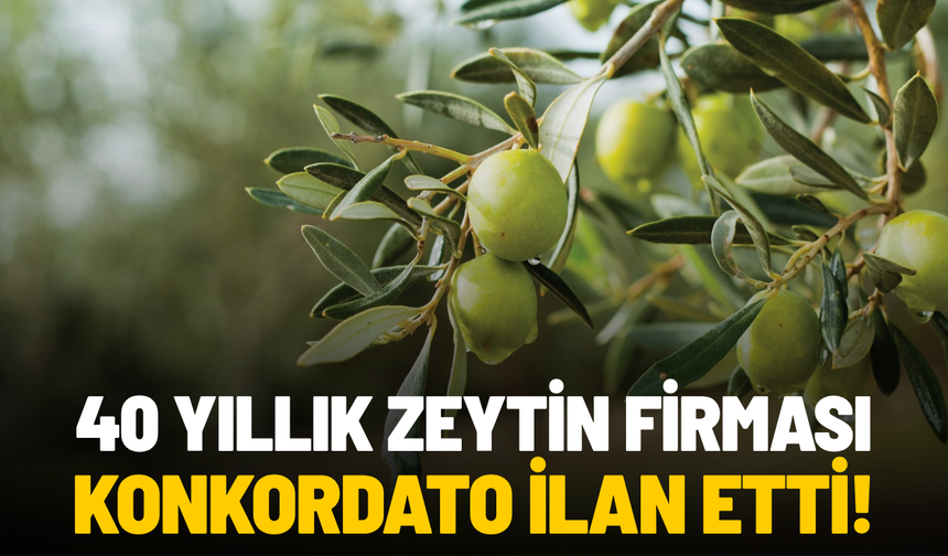 40 yıllık zeytin firması konkordato ilan etti