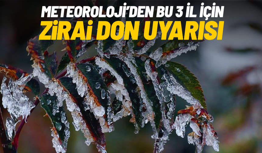 Meteoroloji’den 3 il için zirai don uyarısı