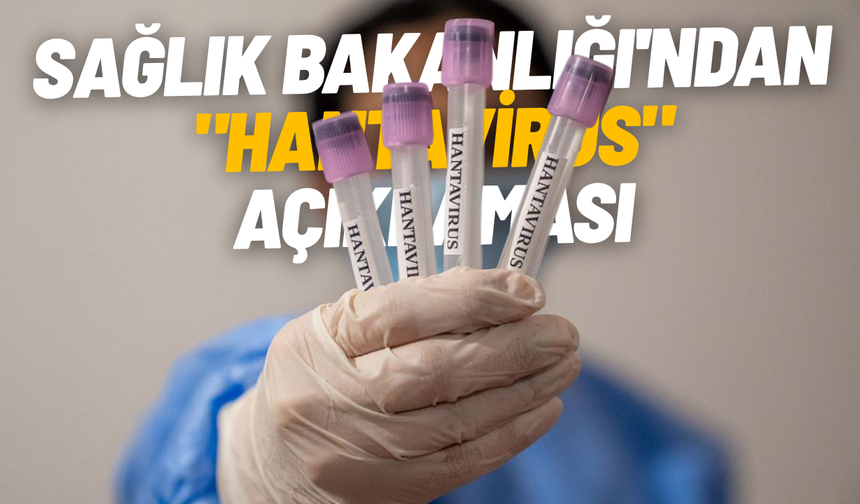 Sağlık Bakanlığı'ndan "hantavirüs" açıklaması