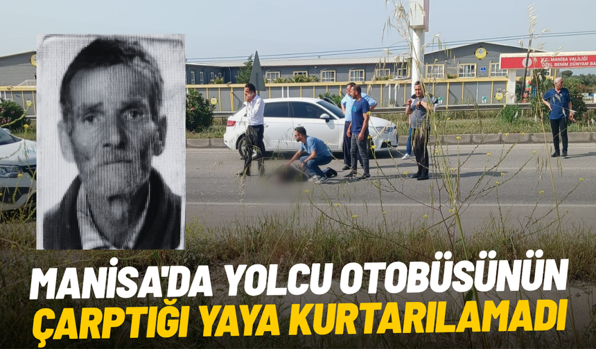 Manisa'da yolcu otobüsünün çarptığı yaya kurtarılamadı