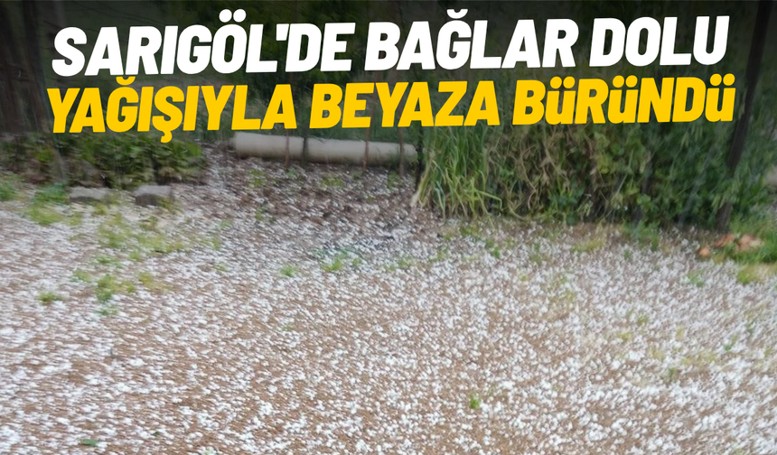 Sarıgöl'de bağlar dolu yağışıyla beyaza büründü