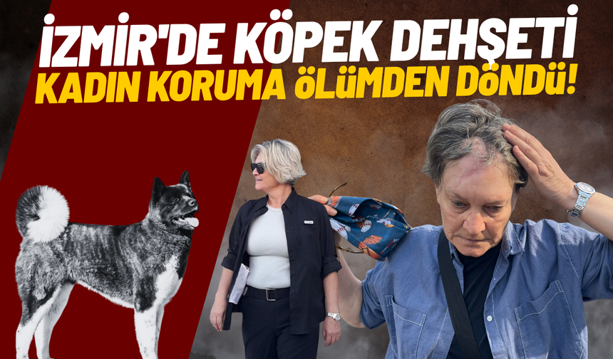 İzmir'de köpek dehşeti: Kadın koruma ölümden döndü!