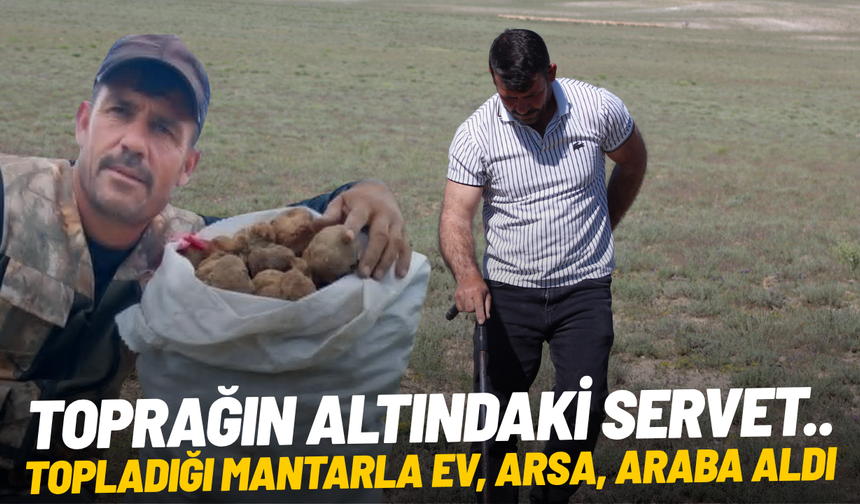 Toprağın altındaki servet... Topladığı mantarla ev, arsa, araba aldı
