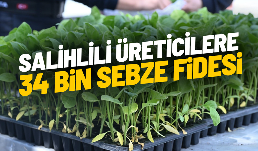 Salihlili üreticilere 34 bin sebze fidesi