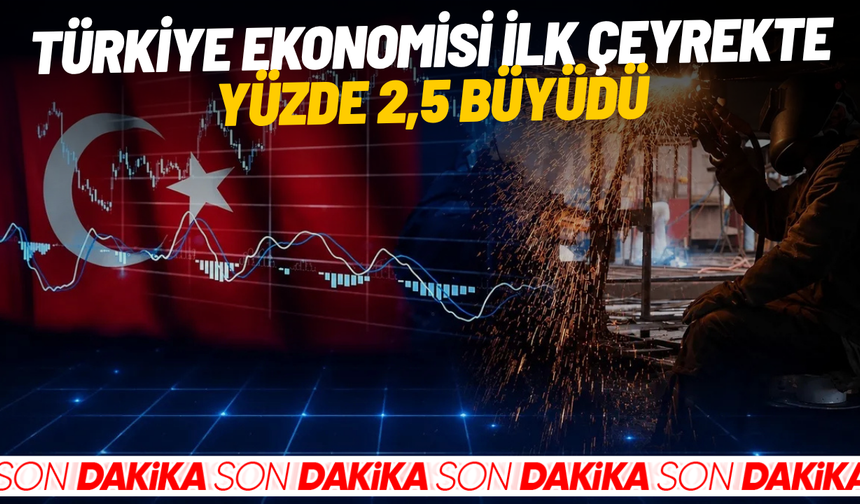 Türkiye ekonomisi ilk çeyrekte yüzde 2,5 büyüdü