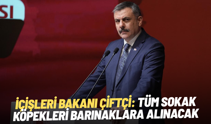 İçişleri Bakanı Çiftçi: Tüm sokak köpekleri barınaklara alınacak