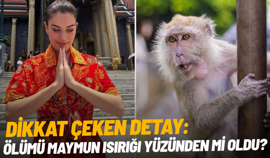 Ece İrtem'in ölümünde dikkat çeken detay: Tayland'da maymun ısırmış