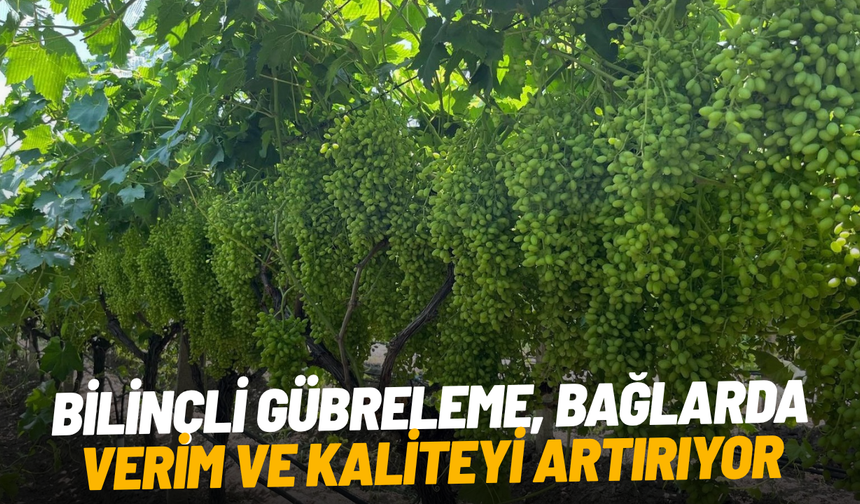 Bilinçli gübreleme, bağlarda verim ve kaliteyi artırıyor