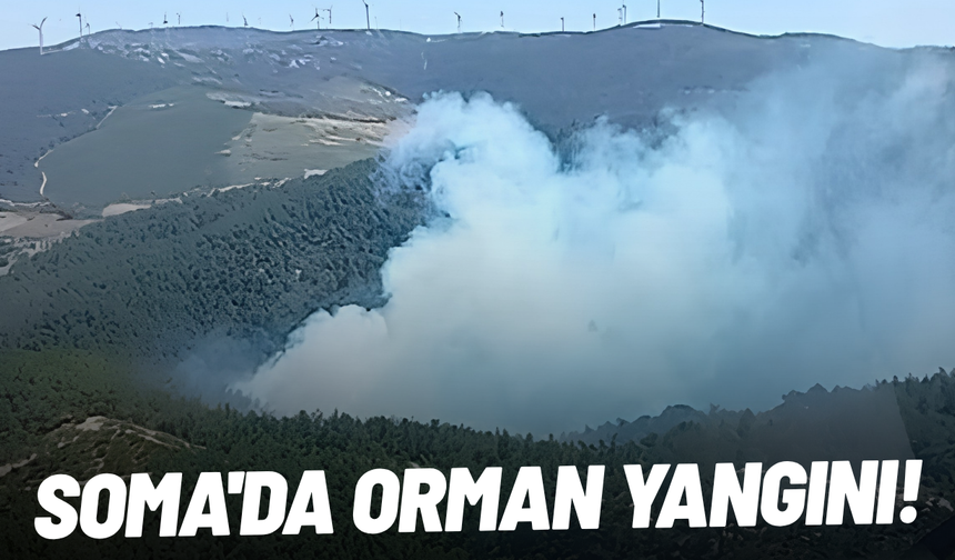 Soma'da orman yangını!
