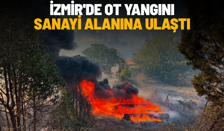 İzmir'de ot yangını sanayi alanına ulaştı