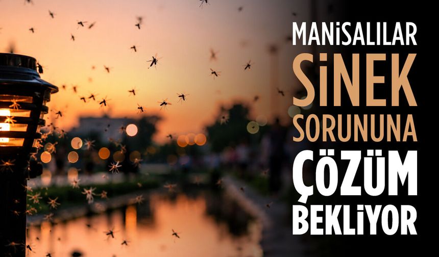Manisalılar Sinek Sorununa Çözüm Bekliyor