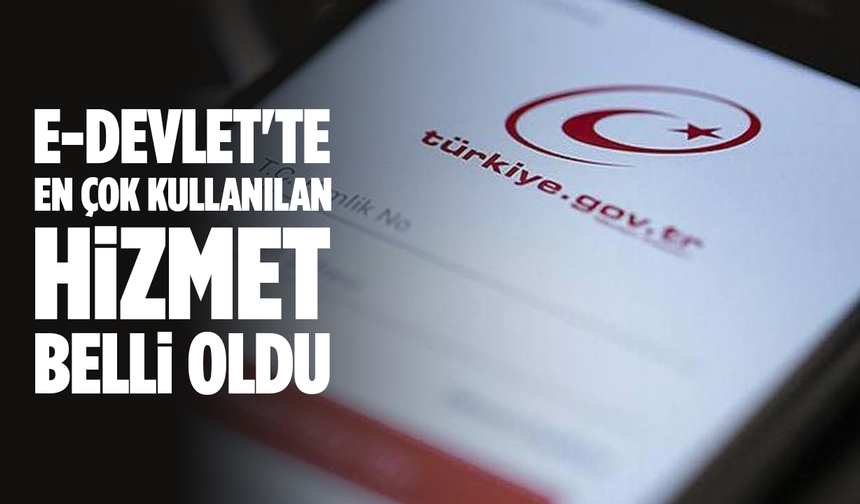 E-Devlet'te Zirve SGK'nın! 6 Ayda 758 Milyon Erişim