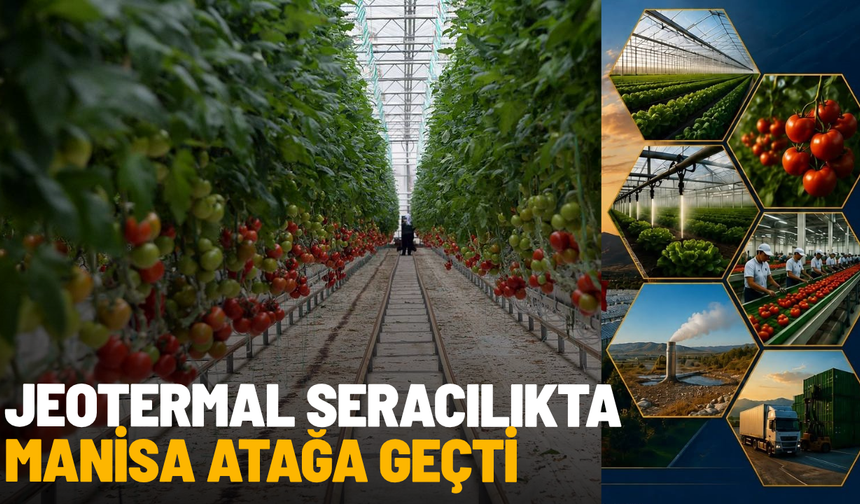 Jeotermal seracılıkta Manisa atağa geçti
