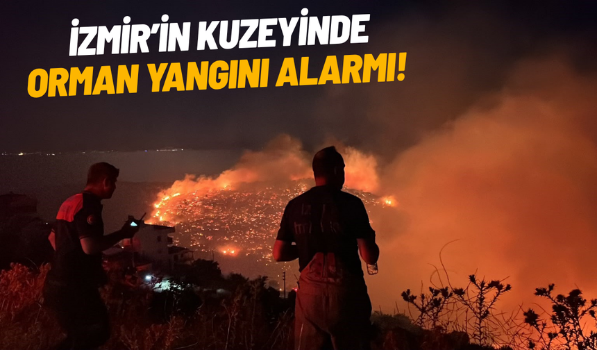 İzmir’in kuzeyinde orman yangını alarmı