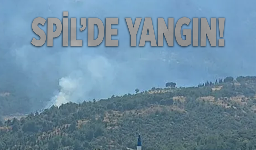 Manisa’da Spil Dağı Eteklerinde Orman Yangını