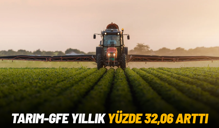 Tarım-GFE yıllık yüzde 32,06 arttı