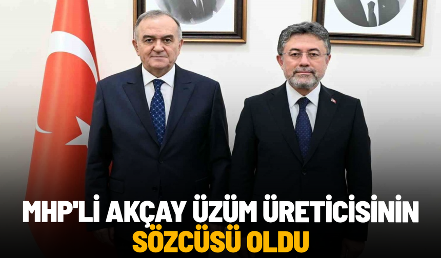 MHP'li Akçay üzüm üreticisinin sözcüsü oldu