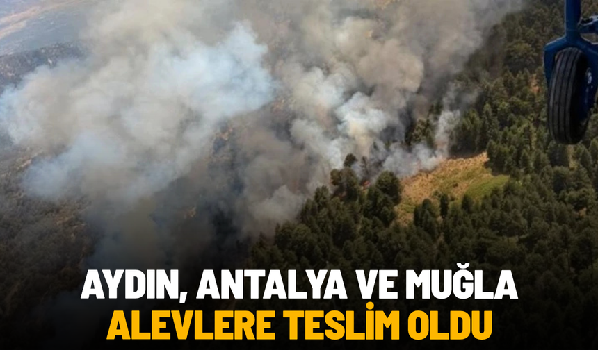 Aydın, Antalya ve Muğla alevlere teslim oldu