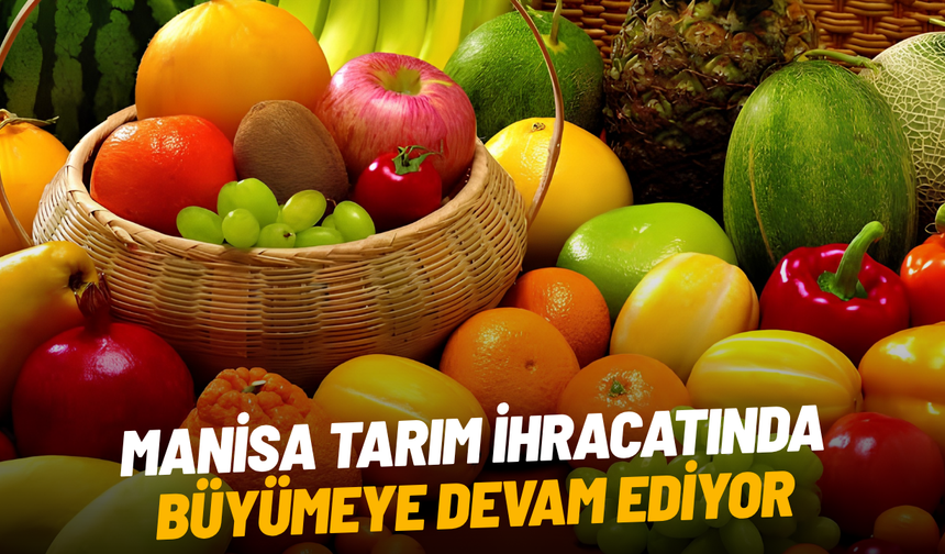 Manisa’nın tarımsal ihracatı 7 ayda 573,6 milyon dolara ulaştı
