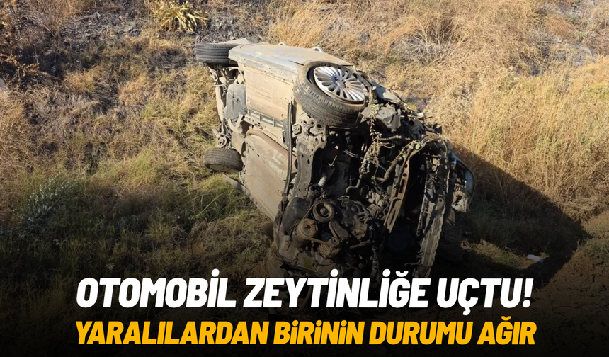 Otomobil zeytinliğe uçtu: 1'i ağır 2 yaralı