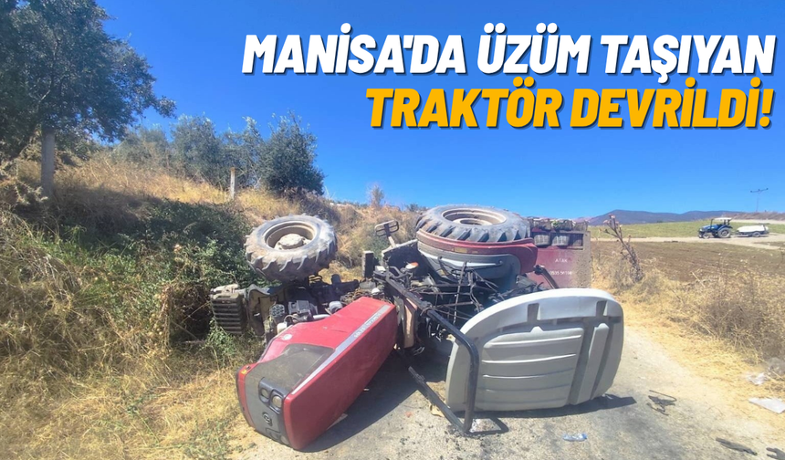 Manisa'da üzüm taşıyan traktör devrildi