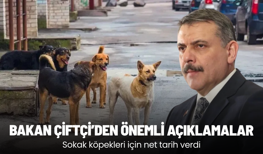 Bakan Çiftçi'den önemli açıklamalar: Sokak köpekleri için net tarih verdi