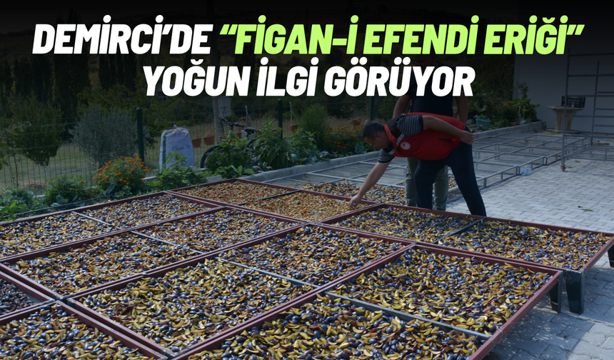 Demirci'de 'Figan-i Efendi Eriği' yoğun talep görüyor