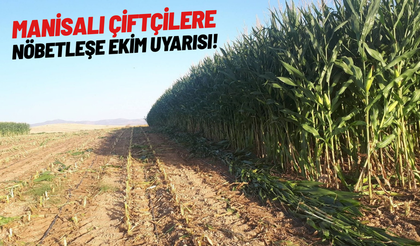 Manisalı çiftçilere nöbetleşe ekim uyarısı