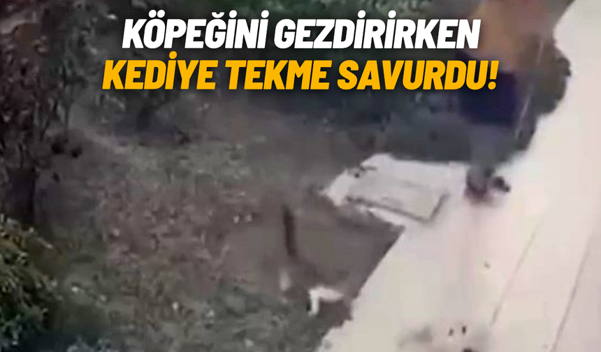 Köpeğini gezdiren şahıs kediyi teklemedi!