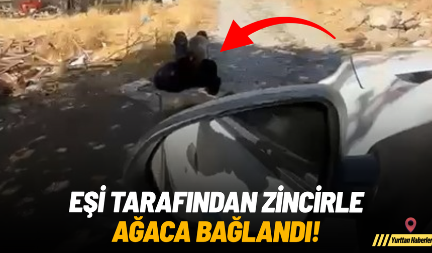 Eşi tarafından zincirle ağaca bağlandı!