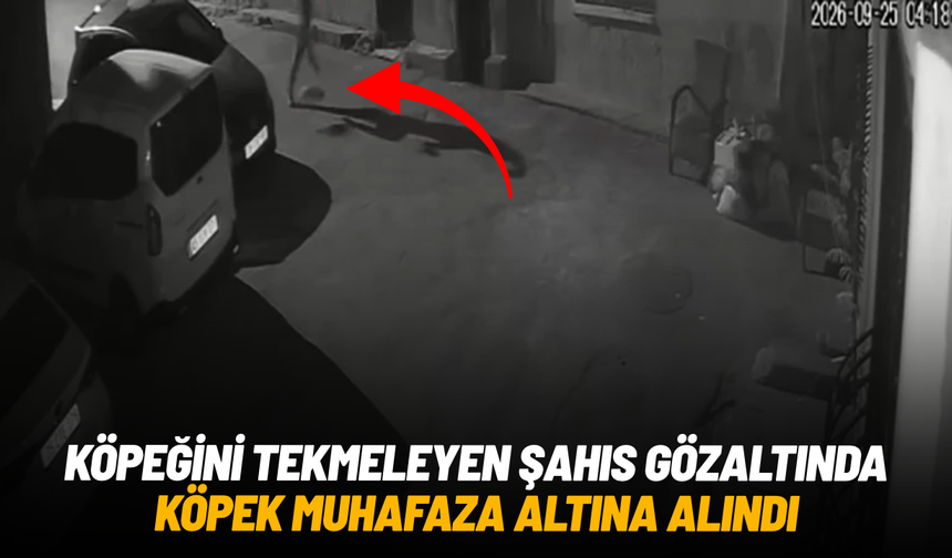 İzmir’de köpeğini tekmeleyen şahıs gözaltına alındı