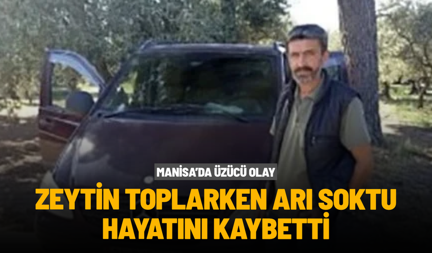 Zeytin toplarken arı soktu, hayatını kaybetti