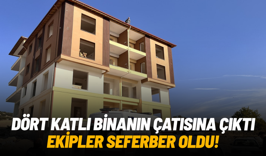 Dört katlı inşaatın çatısına çıktı, ekipler seferber oldu