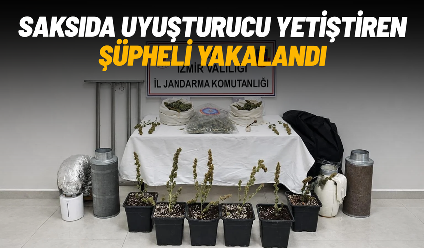 Saksıda uyuşturucu yetiştiren şüpheli yakalandı