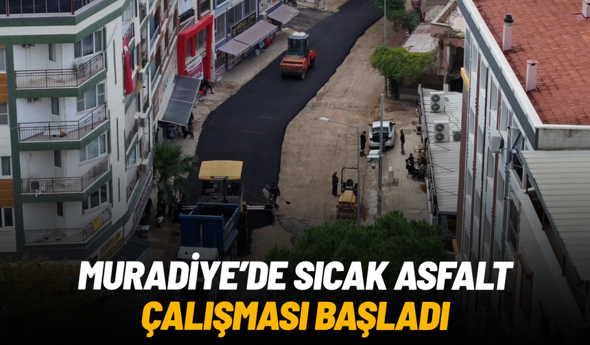 Muradiye'de sıcak asfalt çalışmaları başladı
