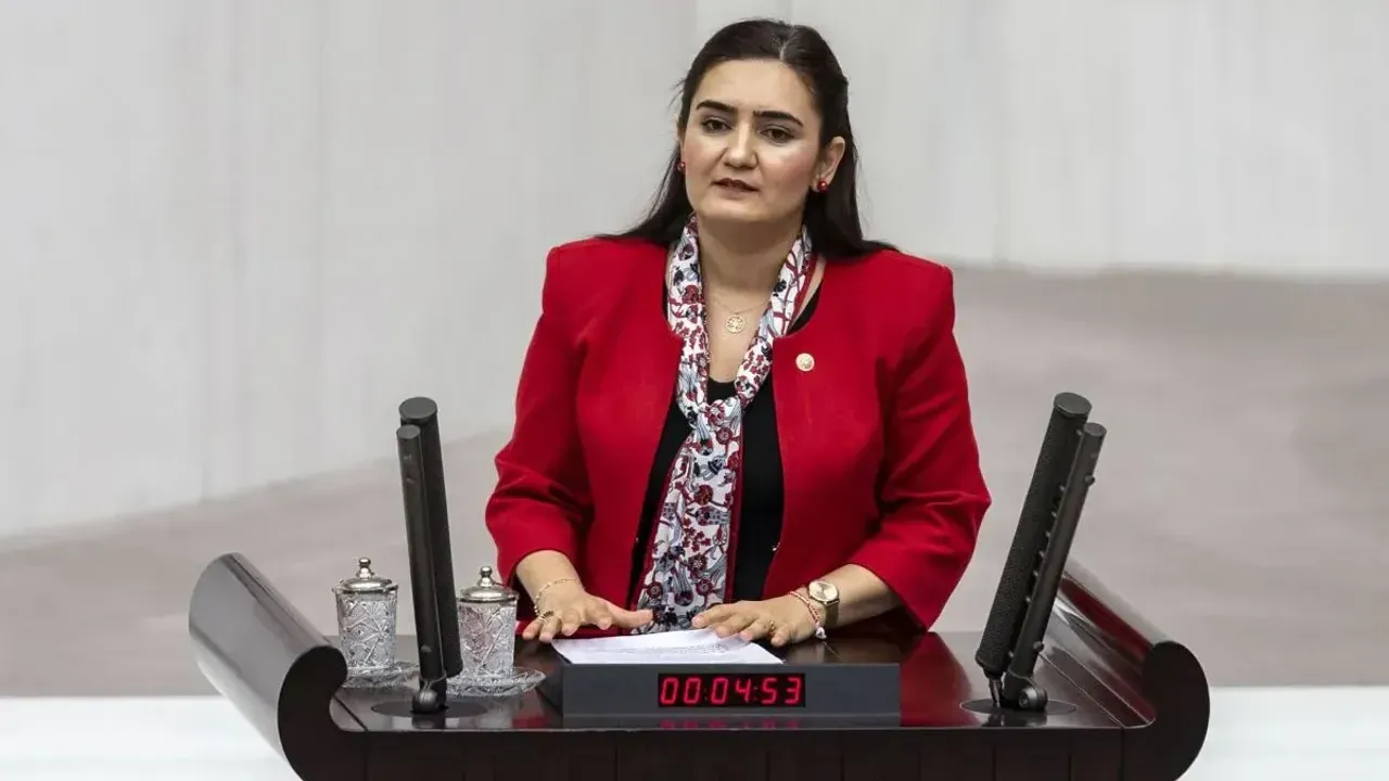 Chp Izmir Milletvekili Adayi Sevda Erdan Kilic Kimdir