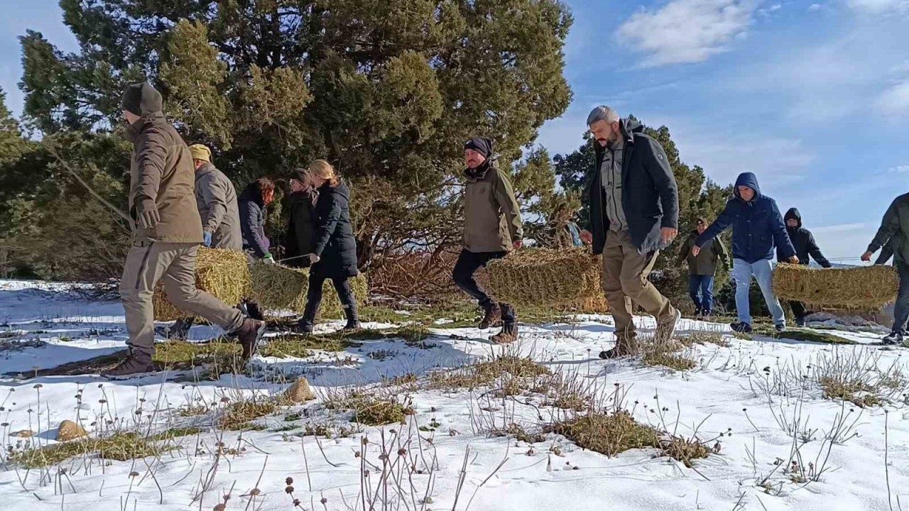 Kar Altindaki Spilde Yaban Hayati Unutulmadi