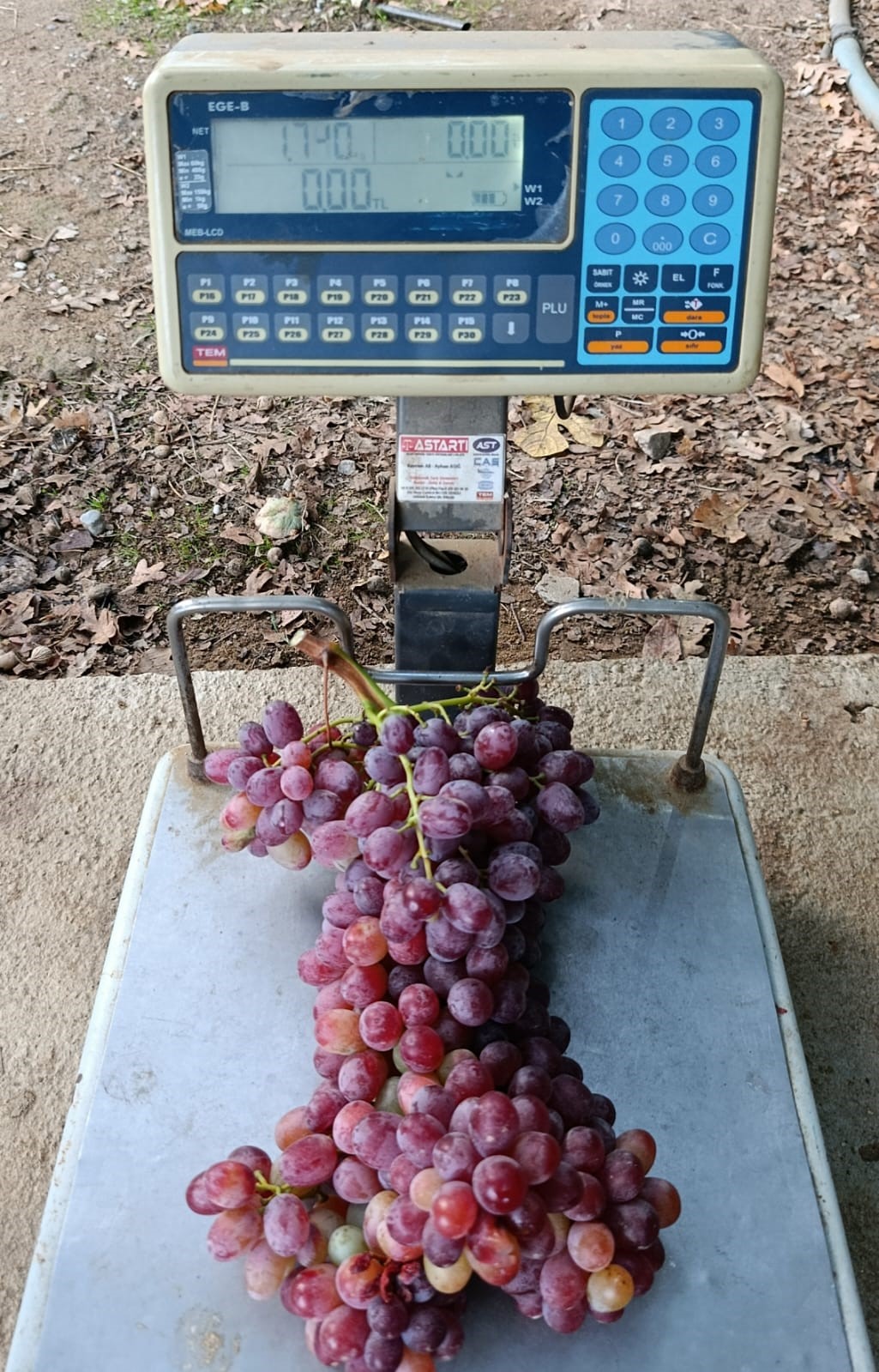 A W563600 03