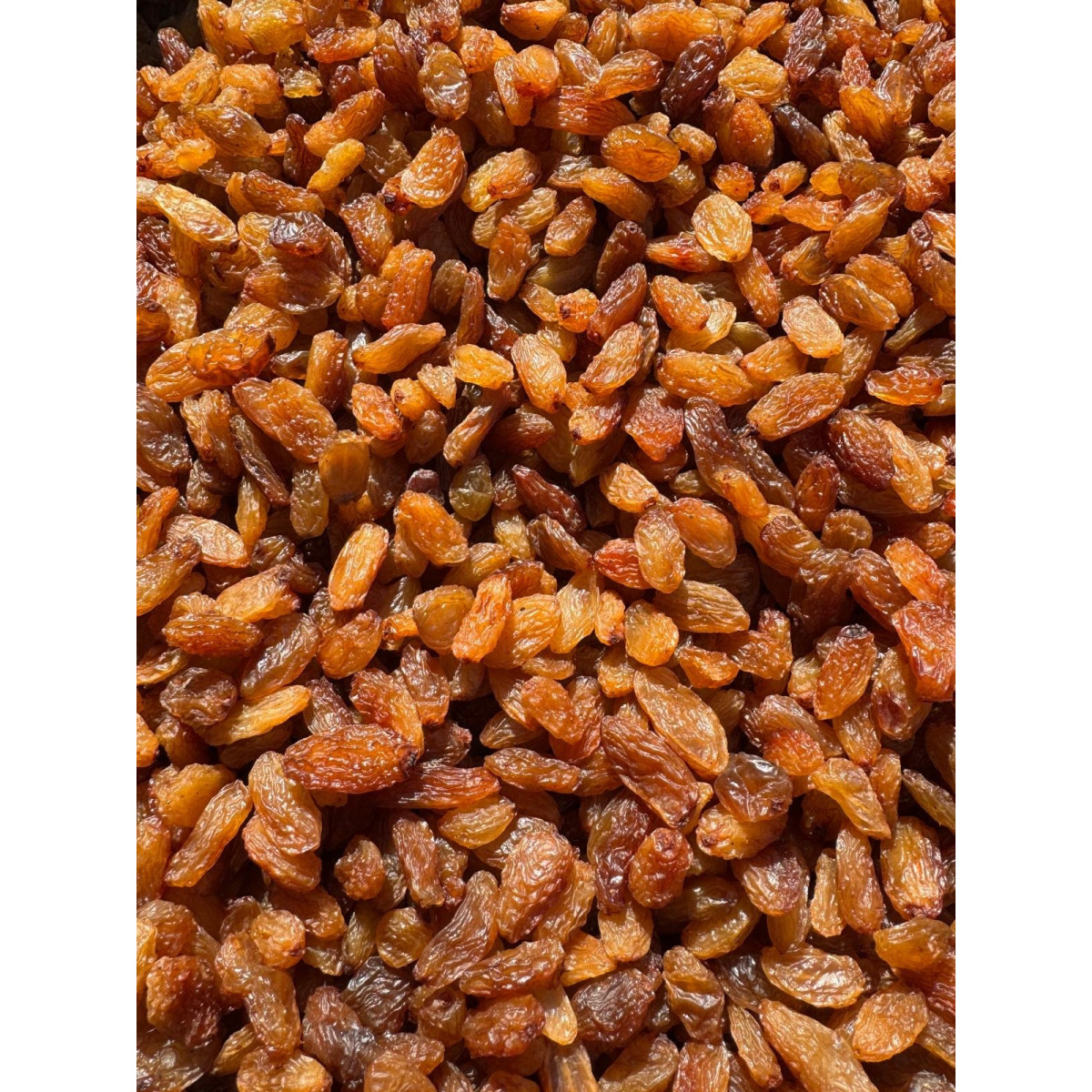 1Kg Manisa Sultaniye Cekirdeksiz Kuru Uezuem 2022 Yeni Mahsul