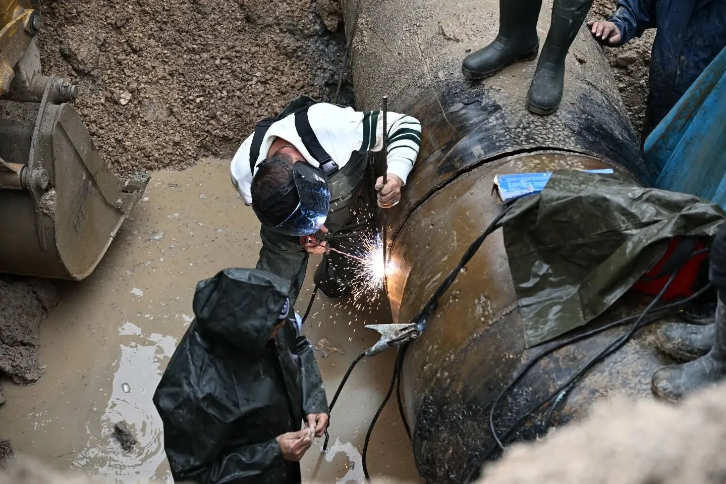 624596883 18080154422340380 1246864128057507854 N