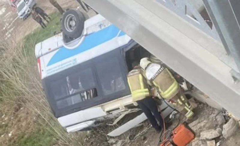 69D0C00D59Cd8869 W1200Xh731