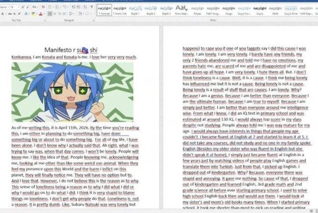 Saldırganın manifestosu