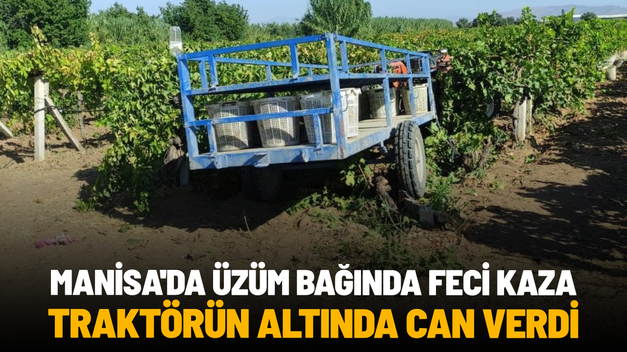 Manisa'da üzüm bağında feci kaza