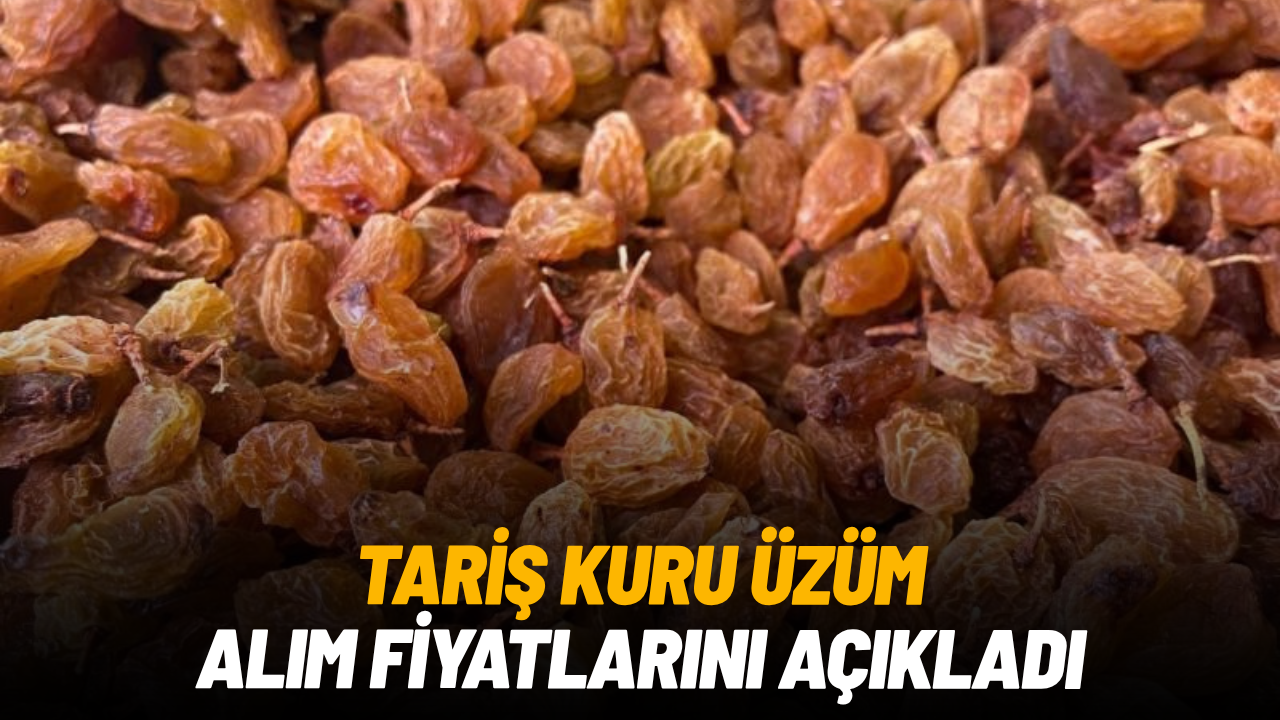 TARİŞ kuru üzüm alım fiyatlarını açıkladı