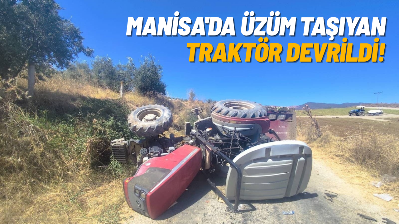 Manisa'da üzüm taşıyan traktör devrildi