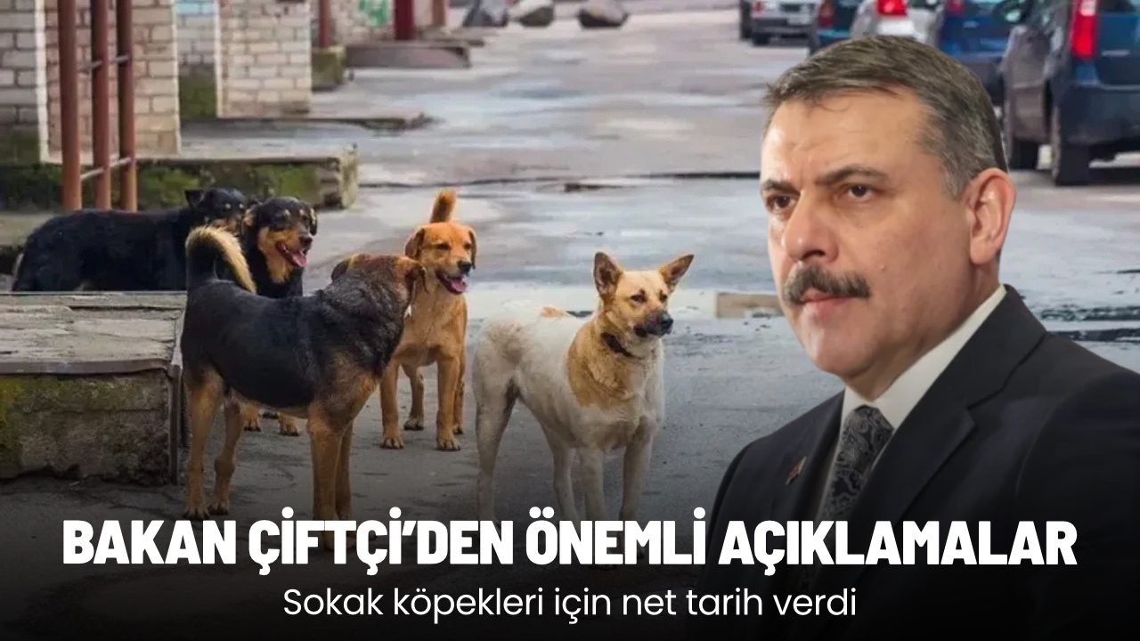 Bakan Çiftçi'den önemli açıklamalar: Sokak köpekleri için net tarih verdi