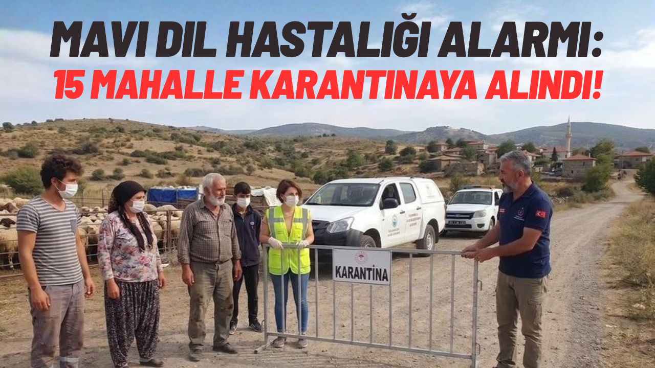 Mavi dil hastalığı alarmı: 15 mahalle karantinada!